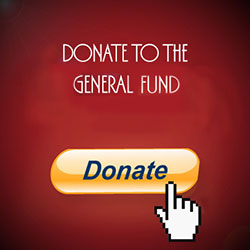 generalfund_2_250